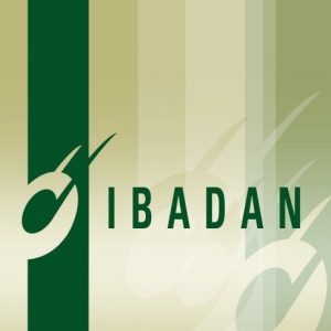 Ibadan Records demo submission