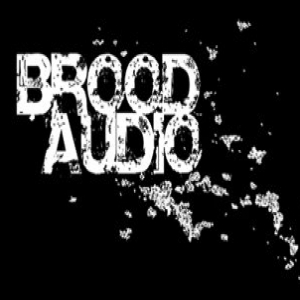 Brood Audio demo submission