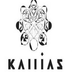 kallias recs demo submission