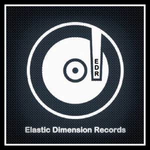 Elastic Dimension Records demo submission