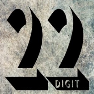 22 Digit Records