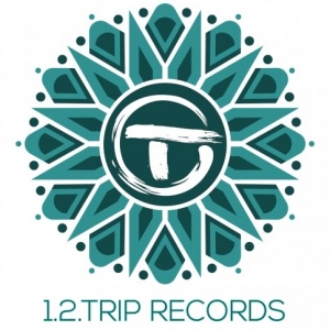 1.2.Trip Records demo submission